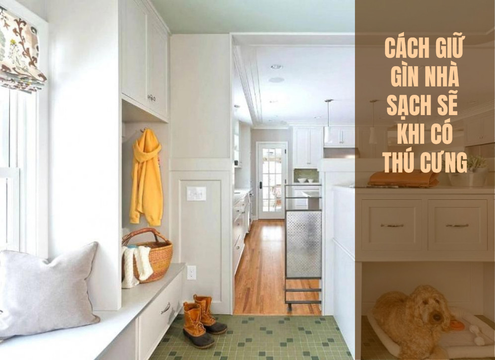 Cách giữ gìn nhà sạch sẽ khi có thú cưng